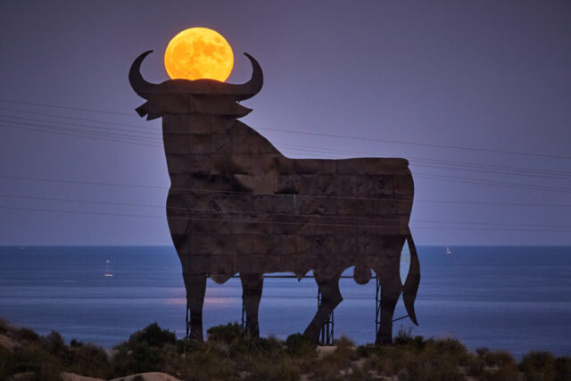 Telephoto image of the Osborne bull in Spain at sunset with a full moon precisely aligned between its horns and the sea visible in the background